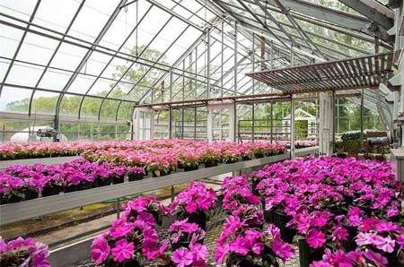 Choáng với siêu biệt thự kiểu Pháp hướng biển giá gần 3.000 tỷ đồng - 16 Bể bơi có chiều dài hơn 20m.