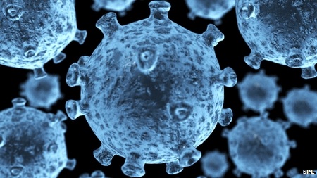 10 sự kiện khoa học nổi bật nhất năm 2013