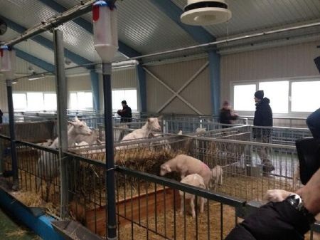 Choáng với tư dinh siêu lộng lẫy của Tổng thống Ukraine - 15 Khu trại chăn nuôi phục vụ Tổng thống rộng mênh mông