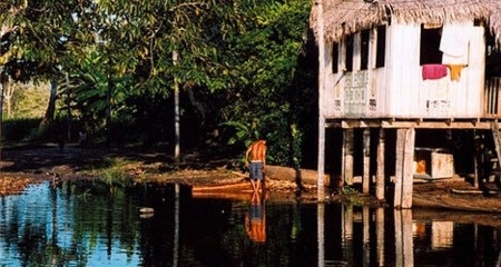 Tìm thấy bé gái mất tích 7 tháng trong rừng Amazon - 1 (Ảnh minh họa)