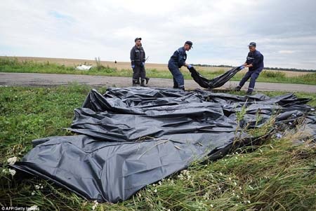 Nhân chứng vụ MH17: Thi thể hành khách rơi xuyên mái nhà - 4 Nhiều thi thể đã được thu gom