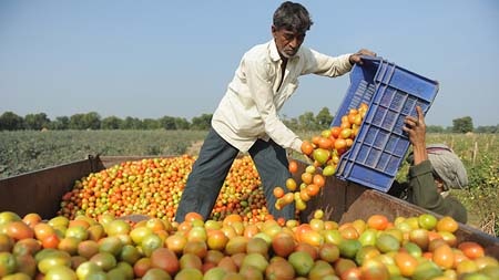 Nông sản nhiều quốc gia Tây Âu và Baltic sẽ không thể vào Nga