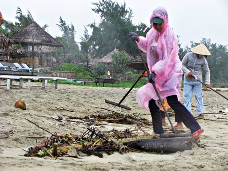 Hàng trăm người cùng dọn sạch bãi biển đẹp top 50 thế giới - 3