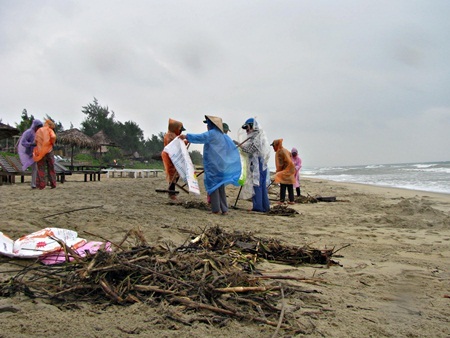 Hàng trăm người cùng dọn sạch bãi biển đẹp top 50 thế giới - 2