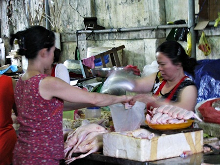 Tất bật sắm Tết diệt sâu bọ - 3