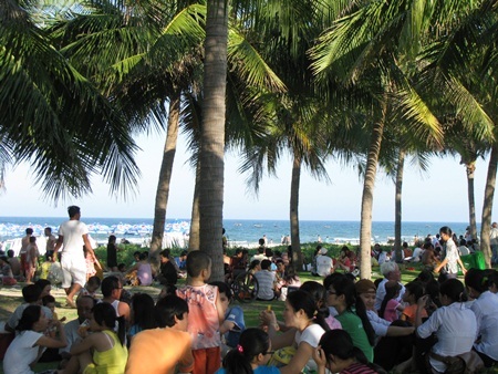 Bãi biển đông nghịt vì người đổ xô đi… diệt sâu bọ - 6