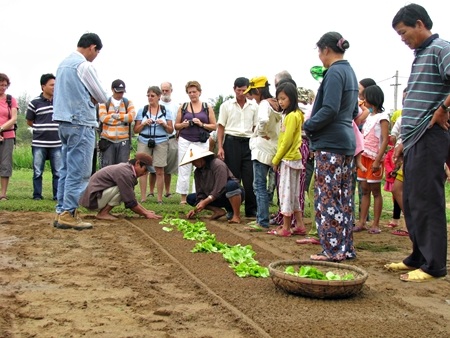 Quảng Nam tưng bừng lễ hội cầu bông  - 14