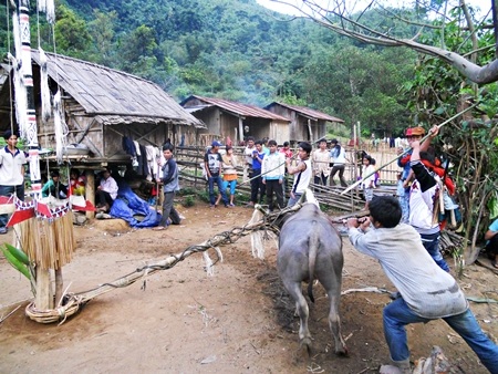 Tưng bừng mùa hội đâm trâu