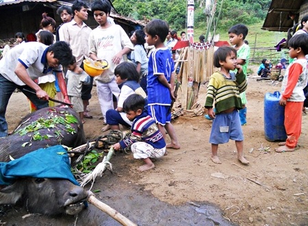 Tưng bừng mùa hội đâm trâu