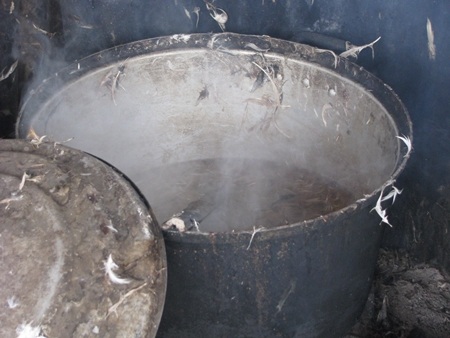 Bẩn ghê người cảnh giết mổ gia cầm tại chợ