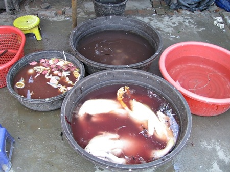 Bẩn ghê người cảnh giết mổ gia cầm tại chợ