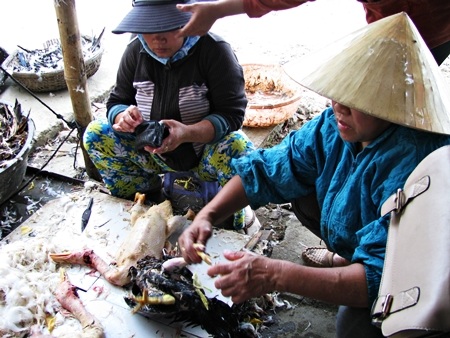 Bẩn ghê người cảnh giết mổ gia cầm tại chợ