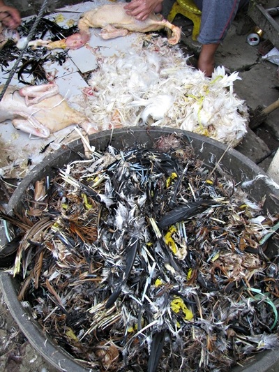 Bẩn ghê người cảnh giết mổ gia cầm tại chợ