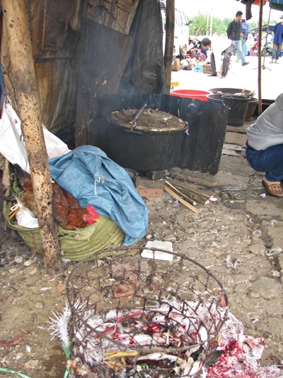 Bẩn ghê người cảnh giết mổ gia cầm tại chợ