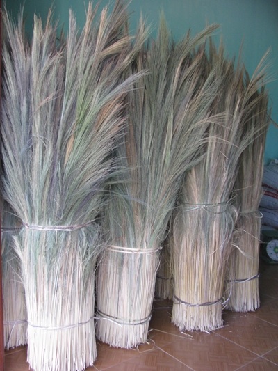 Bỏ học hái đót mưu sinh