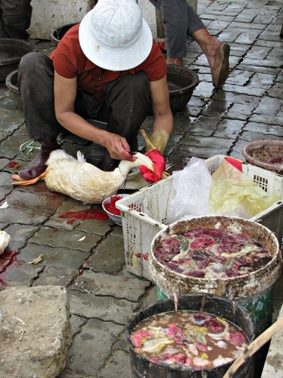 Bẩn ghê người cảnh giết mổ gia cầm tại chợ