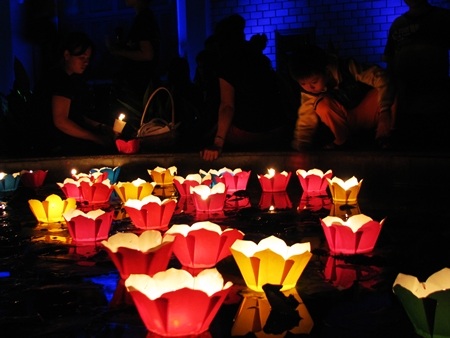 Lung linh Giờ Trái đất - 7