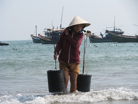 đa số những người gánh nước thuê ở cảng cá cũng là phụ nữ
