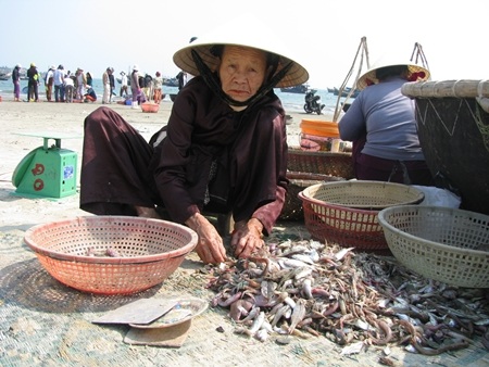 đa số những người gánh nước thuê ở cảng cá cũng là phụ nữ