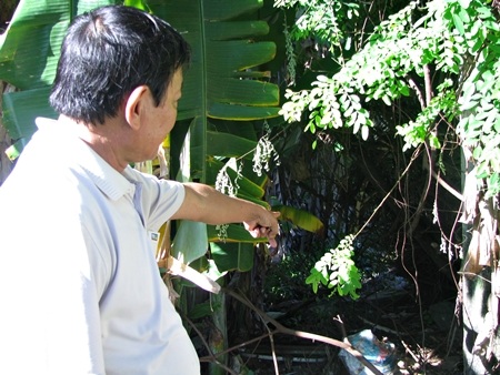 ông Lư chỉ vào đường nước thải từ Trung tâm Y tế Quận xả thẳng ra ngoài sát ngay cạnh nhà mình