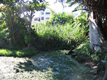 ông Lư chỉ vào đường nước thải từ Trung tâm Y tế Quận xả thẳng ra ngoài sát ngay cạnh nhà mình