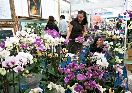 Hội chợ năm nay có nhiều lựa chọn cho người tiêu dùng dịp trước Tết nguyên đán