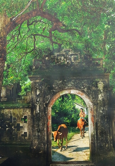 Đường làng - Đinh Lơ