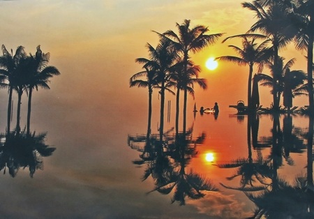 Cùng đón bình minh - Ngô Đình Hoàng