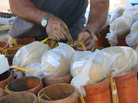 Đến ngày 26/4, các đội đã lắp xong 40-50% lượng pháo vào hệ thống