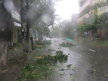 Cây cối, trụ điện ngã rạp, mái tôn bay tứ tung ở TP Đà Nẵng (Ảnh: Khánh Hiền).