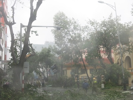 Cây cối, trụ điện ngã rạp, mái tôn bay tứ tung ở TP Đà Nẵng (Ảnh: Khánh Hiền).