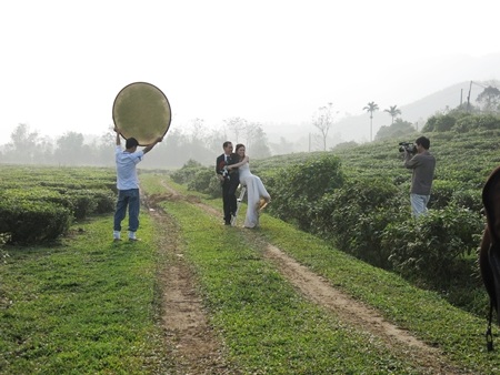 Đồi chè được chọn làm nơi thực hiện những bộ ảnh cưới