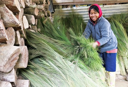 Bà Bling Đo ngày nào cũng đi hái đót về bán để lấy tiền lo sắm Tết