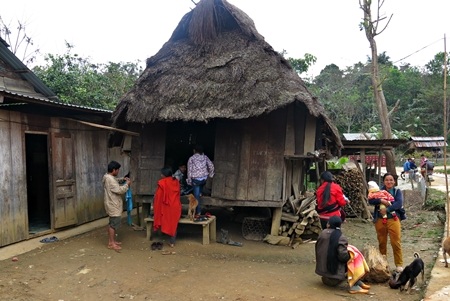 Bà Bling Đo ngày nào cũng đi hái đót về bán để lấy tiền lo sắm Tết