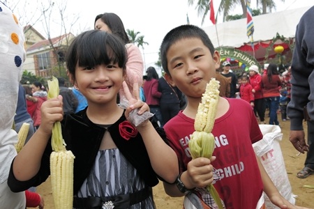 Khó chối từ một quả bắp nếp Cẩm Nam ngon ngọt