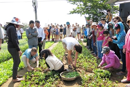 Đông đảo người dân và du khách hò reo cổ vũ