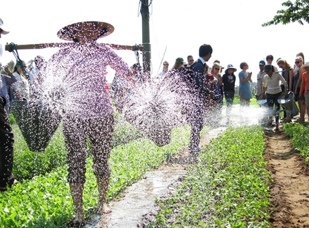 Mỗi luống rau vừa cấy xong được tưới nước là một niềm hy vọng vừa gieo cho một năm được mùa