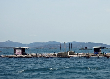 Trong lòng vịnh có những vũng nhỏ tạo hình từ những dãy núi trườn từ bờ ra biển