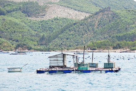 Trong lòng vịnh có những vũng nhỏ tạo hình từ những dãy núi trườn từ bờ ra biển