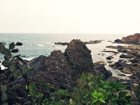 Kiến tạo địa hình độc đáo của gành Đá Đĩa có một không hai ở Việt Nam