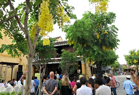 Không gian xanh thơ mộng của phố cổ xung quanh điểm dừng chân