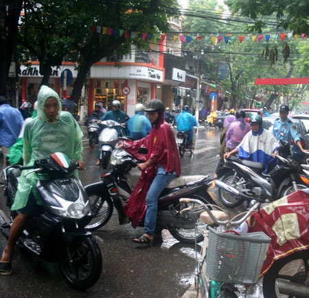 Nhà vàng hết sạch… vàng - 1