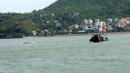 Vụ chìm tàu Trường Hải Star: 64 ô tô chìm xuống biển - 1 Vụ chìm tàu Trường Hải Star: 64 ô tô chìm xuống biển