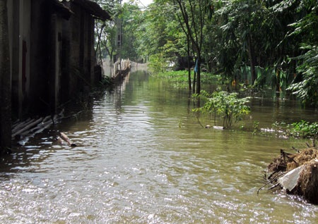 Các khu trang trại nuôi trồng thủy sản cũng bị bước san phẳng