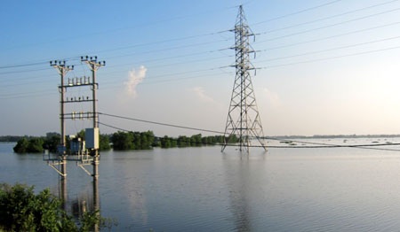 Nước lũ dâng cao san phẳng nhiều cánh đồng lúa của bà con nông dân