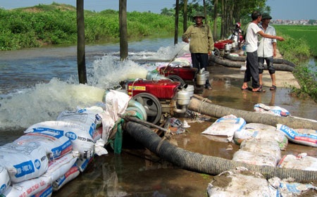Hàng chục máy bơm dã chiến hoạt động hết công suất 24/24h để cứu lúa