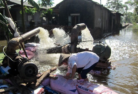 Người dân địa phương túc trực ở ngoài đồng để ngăn nước cứu lúa và hoa màu