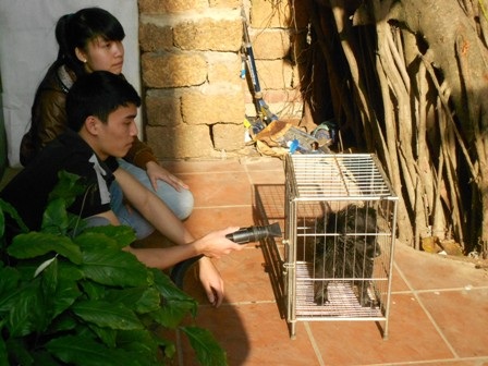 1 triệu đồng/ngày trông thú cưng trong dịp Tết - 2 Những con thú cưng được chăm sóc từ A-Z
