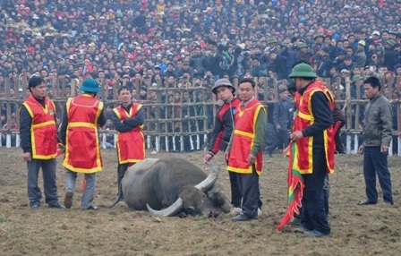 Một ông Cầu xấu số đã bỏ mạng ngay tại trận