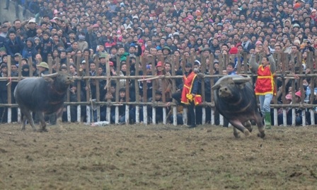 Một ông Cầu bỏ chạy